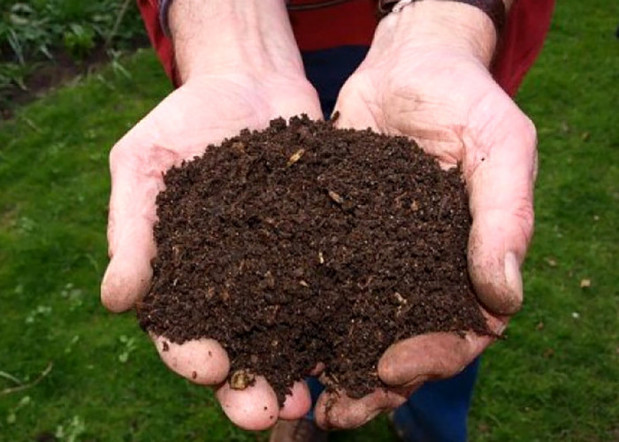 How to Make Fertilizer From Sludge, Complete with Benefits