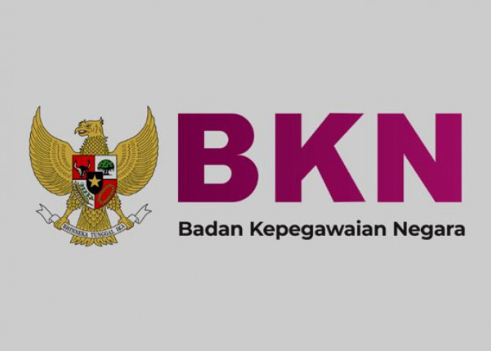 Tidak Ada Passing Grade, Begini Sistem Penilaian Kelulusan Seleksi PPPK 2024