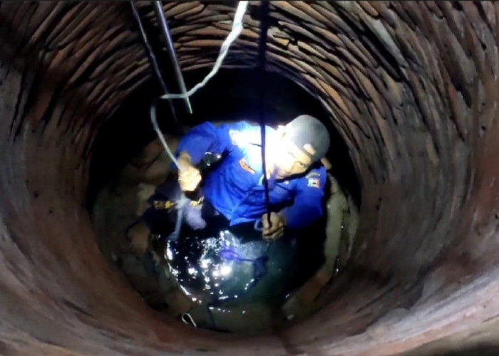 Masuk ke Sumur Sedalam 10 Meter, Petugas Damkar Tulang Bawang Berhasil Evakuasi Anak Kucing