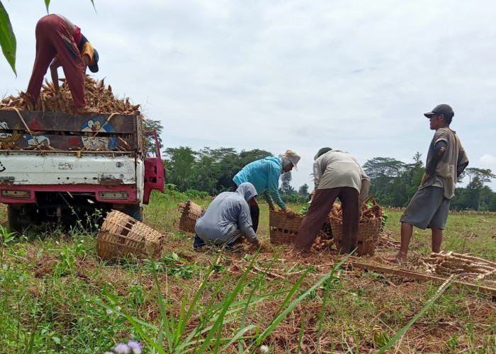 Tegaskan Dukungan, Asperti: Bravo Pak Gubernur!