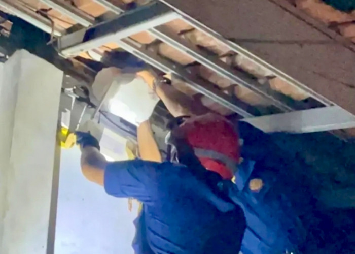 Sarang Tawon hingga Tali Bendera Tersangkut Masuk Daftar 92 Evakuasi Damkarmat Januari 2026