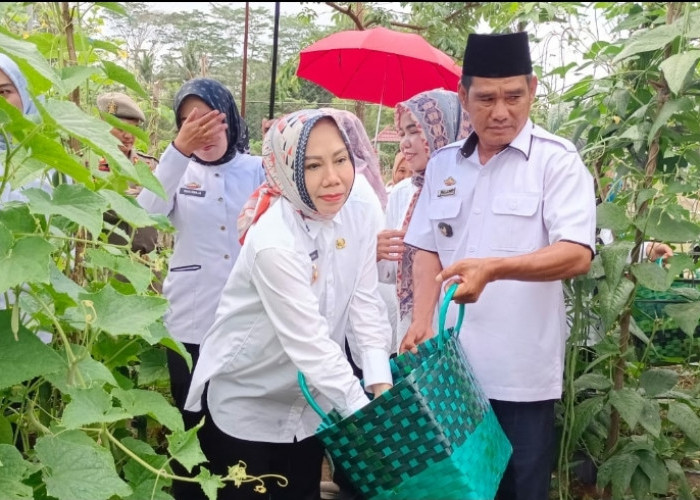 Good Job! Lampung Sudah Tak Miliki Desa Kategori Sangat Tertinggal
