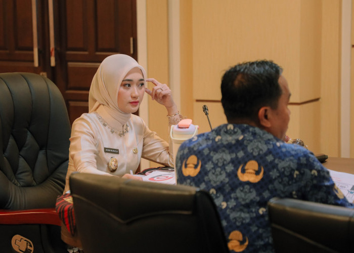 Ratusan Peluang Kerja Jepang, Wagub Lampung Minta Program Dikebut