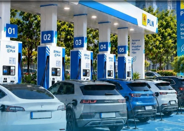 Menjelajah Tol Lampung Lewat Ekosistem Energi Bersih PLN