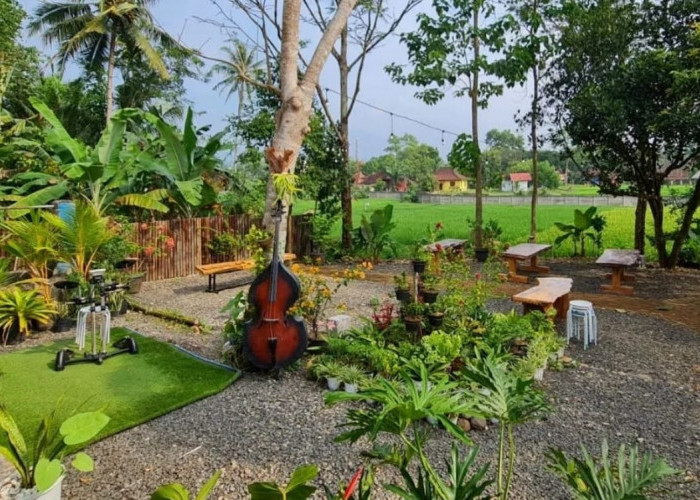 Backland, Cafe Hidden Gem Dengan View Persawahan yang Asri di Lampung, Cek Lokasinya