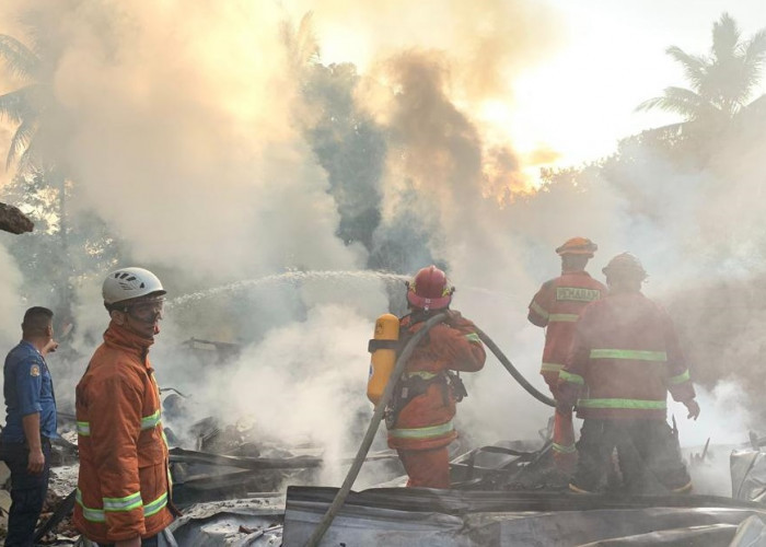 Bantu Pemadaman Kebakaran di Kurungan Nyawa, Dinas Damker Bandar Lampung Terjunkan 14 Personel