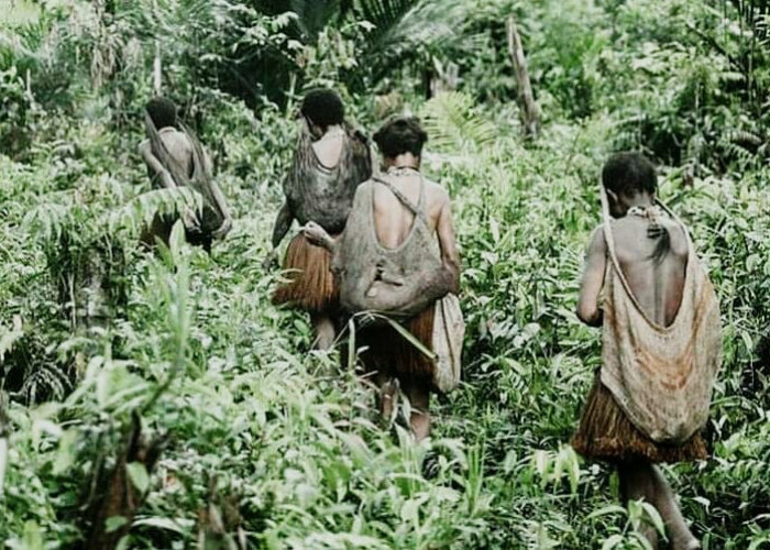 Wilayah Persebaran Sebagai Tempat Bermukim Suku Asmat Papua