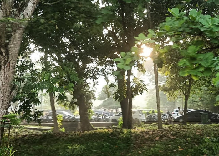 Peringatan Dini BMKG Lampung 13 April 2026, Waspada Hujan Lebat dan Angin Kencang di Wilayah Ini