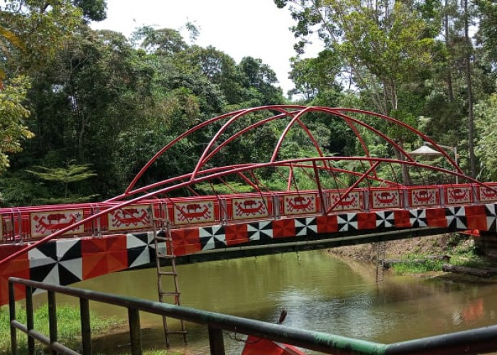 Begini Penampakan Jembatan Senilai Rp 800 Juta di Taman Kota Hamtebiu Lampung Barat