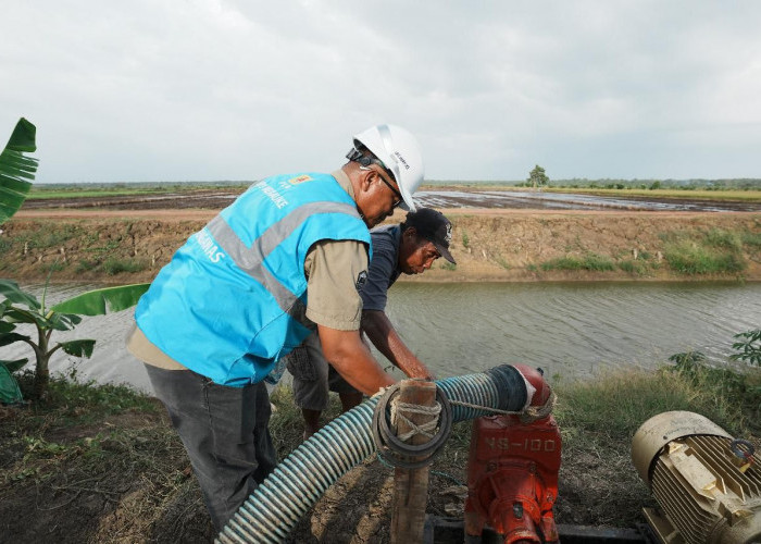 Program Electrifying Agriculture PLN Capai Kinerja Gemilang di 2024, Dorong Modernisasi Sektor Pertanian