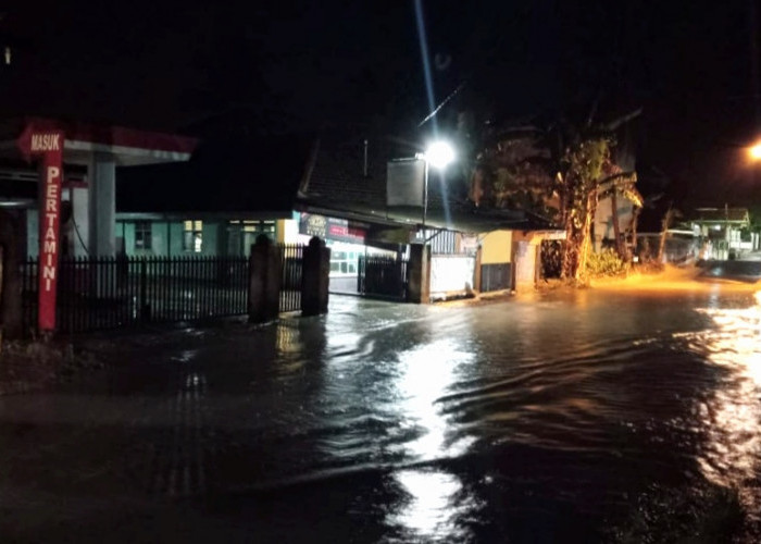 Hujan Deras, Jalan dan Pemukiman di Pringsewu Tergenang 