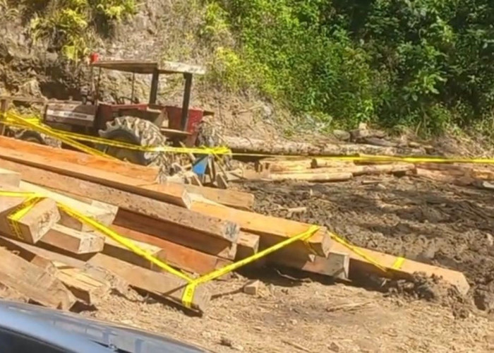 Dugaan Pembalakan Liar di Lemong, Kini Diselidiki Petugas