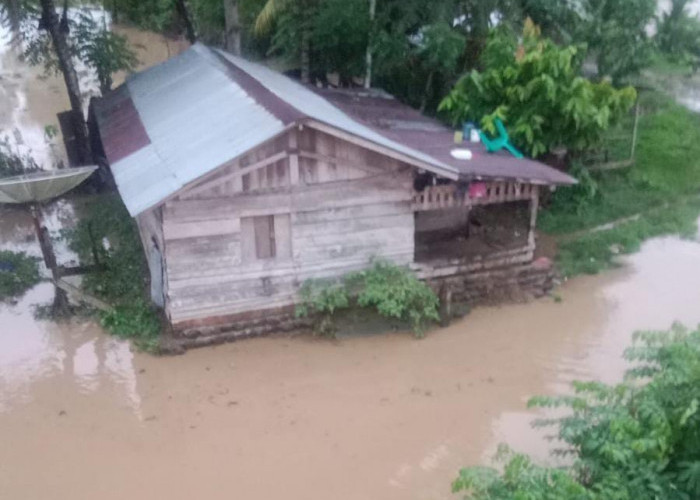 Hujan, 10 Rumah di Way Pedada Pesisir Barat Lampung Meluap Tergenang Banjir