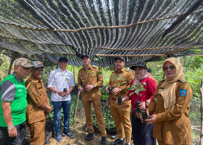PTBA Dampingi Petani Kopi Sawahlunto Panen dan Ciptakan Nilai Tambah