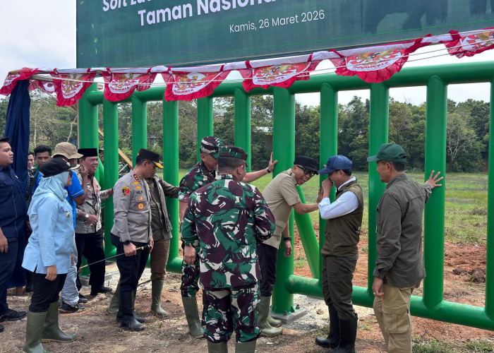 Barrier TNWK Mulai Dikerjakan, Harapan Baru Tekan Konflik Manusia-Gajah