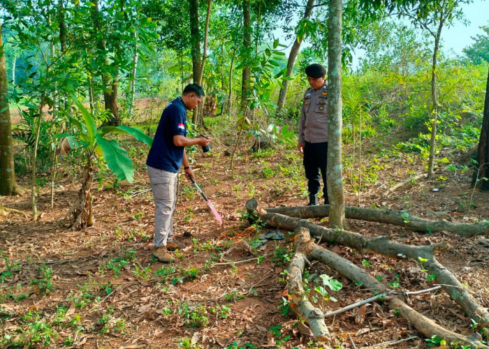 Wanita di Lampung Utara Histeris, Temukan Suami Tergantung di Pohon Akasia