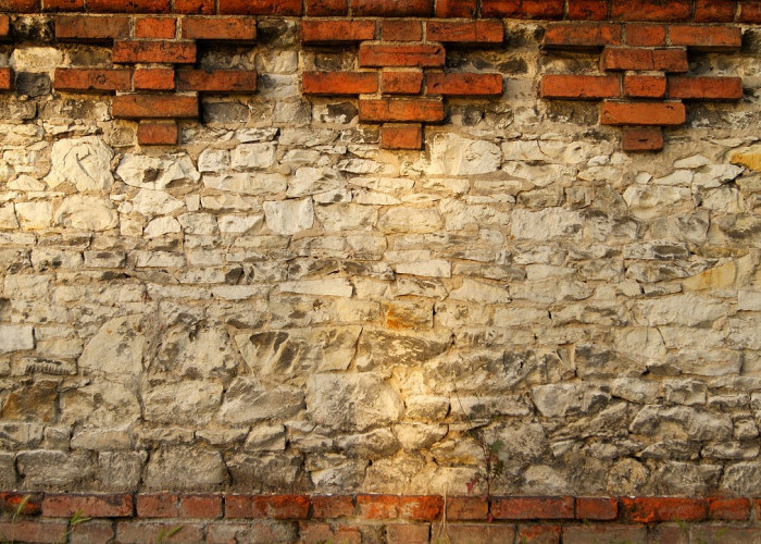 Cara Ampuh Mengatasi Tembok Lembab dan Berjamur, Rumah Jadi Lebih Sehat dan Tahan Lama