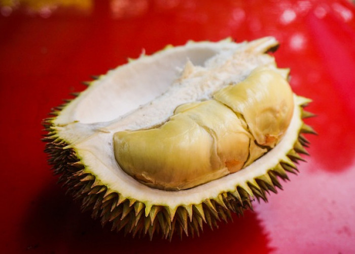 Rekomendasi Kuliner Legendaris di Medan Ada Durian Hingga Sate 