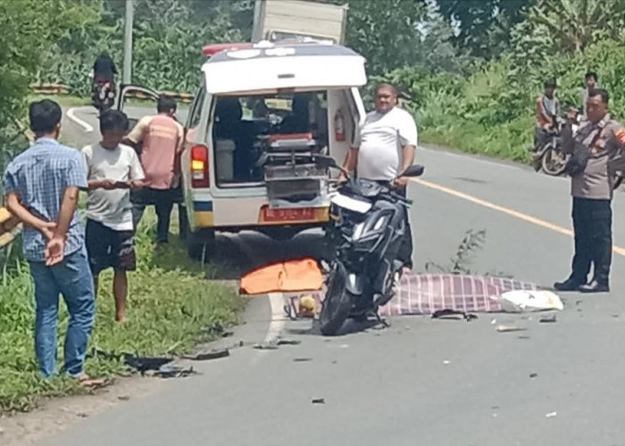 Kecelakaan Maut di Pesisir Barat, Mahasiswa Tewas di Tempat