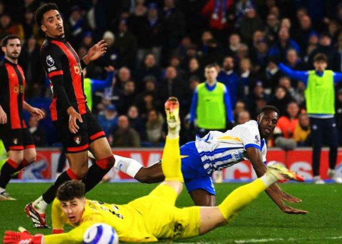 Prediksi Skor Brighton vs Bournemouth: The Seagulls Andalkan Kandang, The Cherries Dihantam Krisis Pemain