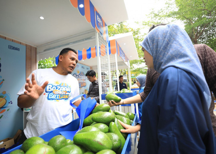 Budidaya Alpukat Berhasil Berkembang Berkat Program BRI Ini