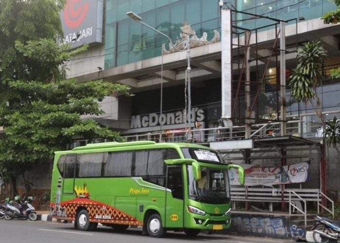 Tarif Bus di Kota Metro Naik, Ini Penjelasannya