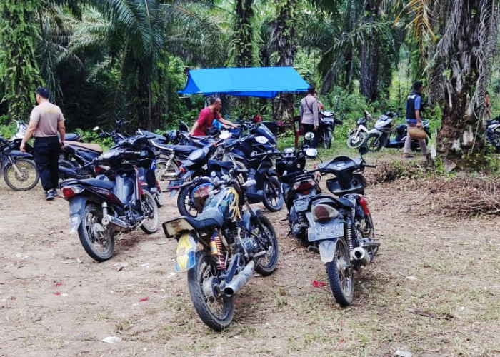 Gerebek Arena Sabung Ayam, Polsek Padang Ratu Amankan 11 Motor dan 8 Ayam Aduan