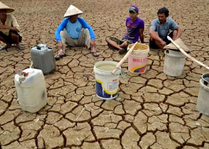 Antisipasi Kerugian Besar Akibat El Nino Ekstrem, Kementan Dorong Petani Ikut Program Asuransi Usaha