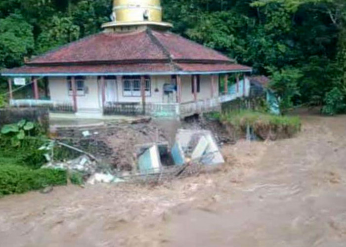 Banjir Bandang di Pesisir Barat, Masjid dan Rumah Terdampak 