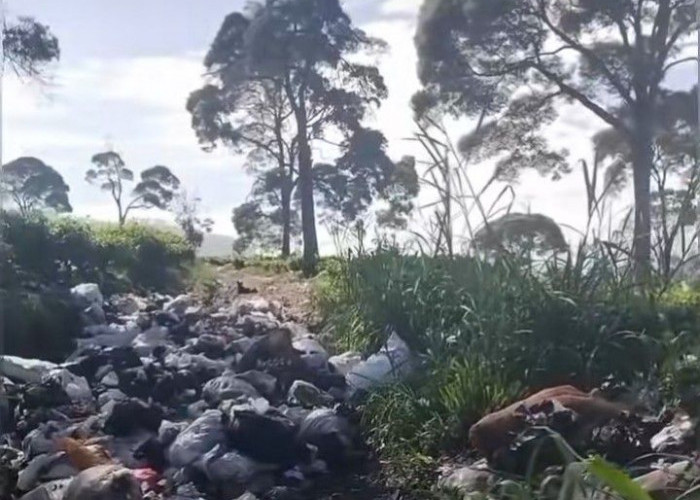 Viral! Gunungan Sampah Cemari Indahnya Kebun Teh Pangalengan, Warga Geram