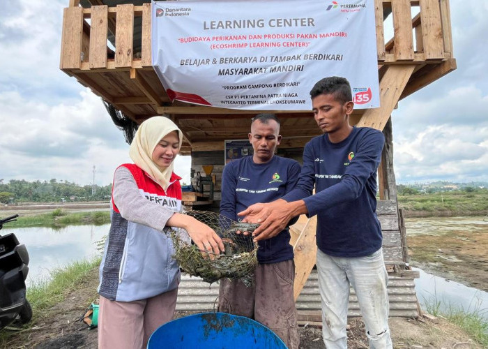 Manfaatkan Energi Transisi, Pertamina Bangun Desa Rentan Jadi Resisten