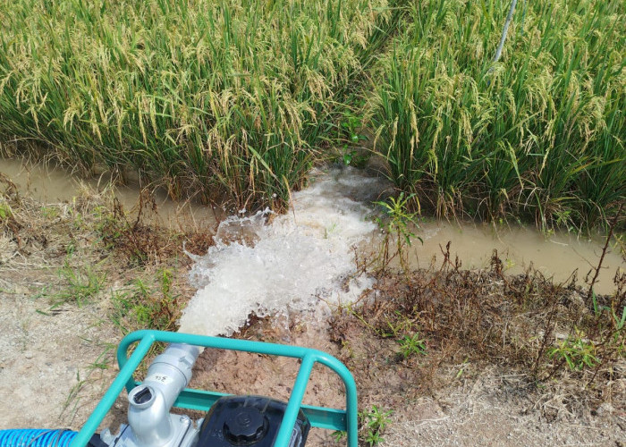 Bantu Petani Atasi Kekeringan, Dinas Pertanian Distribusikan Ratusan Pompa Air Bantuan Kementan