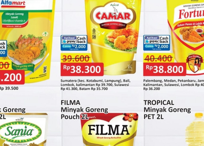 Penawaran Terakhir Promo JSM Alfamart, Dapatkan Minyak Goreng Murah Untuk Stok Kebutuhan Dapur