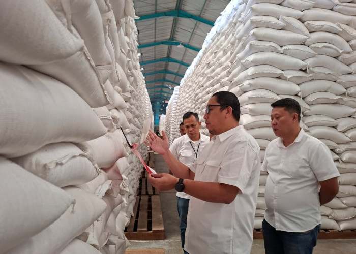 Stok Beras BULOG Lampung Capai 301 Ribu Ton, Siap Topang Bantuan Pangan