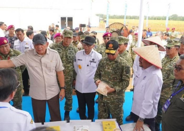 Wakili Presiden Prabowo, Menhan Sjafrie Panen Kedelai di Lampura