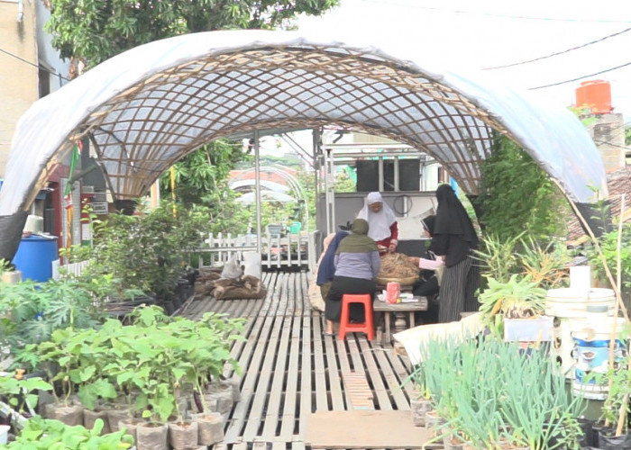 Program BRInita Sukses Jadikan Kelurahan Padjajaran Bandung Jadi Percontohan Urban Farming