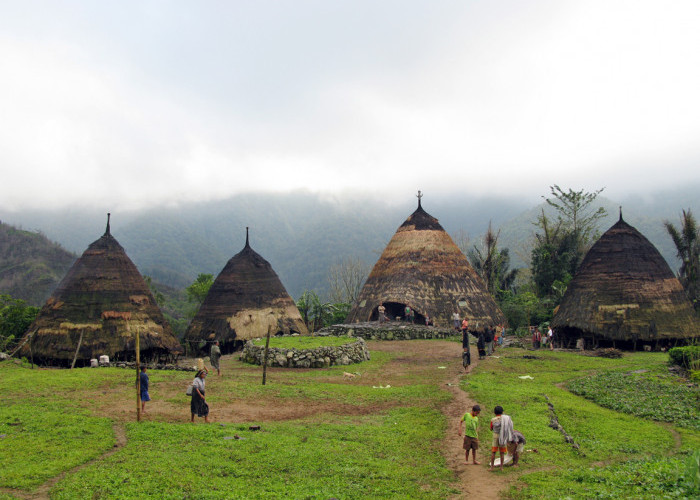 7 Fakta Tentang Wae Rebo, Kampung di Atas Awan  yang Ada di Nusa Tenggara Timur