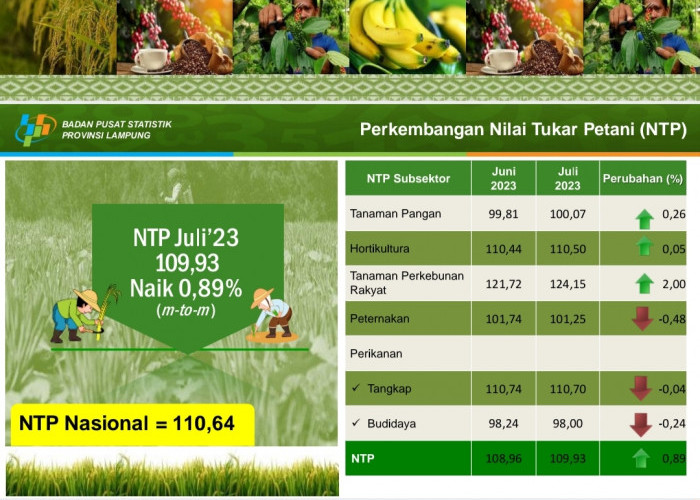 Juli 2023, BPS Catat NTP Provinsi Lampung Capai 109,89, Ini Subsektor dengan NTP Tertinggi