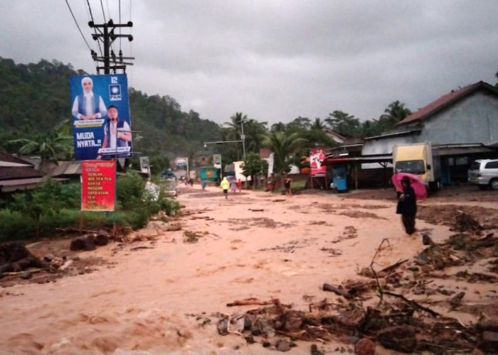 Banjir Bandang di Tanggamus Lampung, Jalinbar Tertutup, 11 Pekon Terdampak 