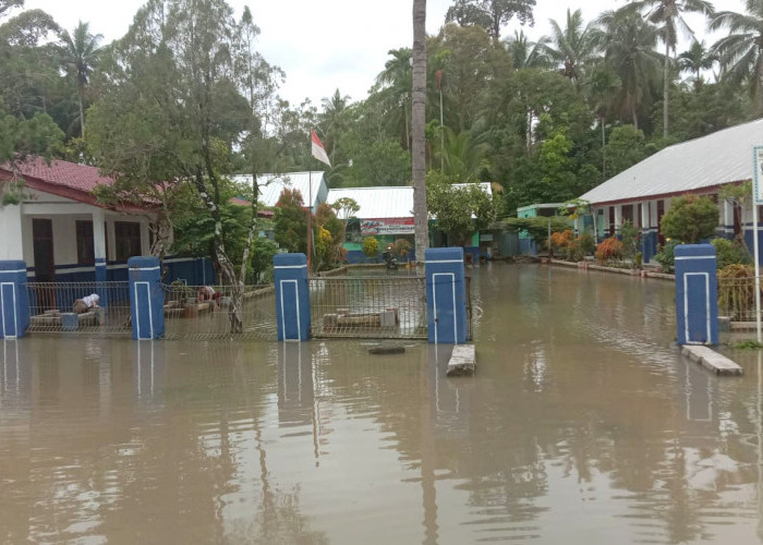 Soal Banjir di SDN 69 Krui, Disdikbud Pesisir Barat Ambil Langkah Ini 