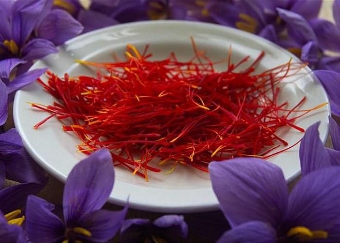 Bunga Saffron, Rempah Mahal yang Bermanfaat untuk Kesehatan dan Kecantikan 