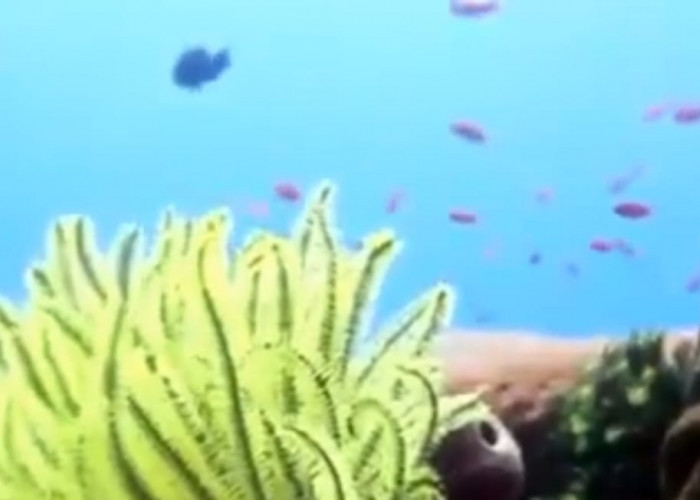 Dari Hari Laut Sedunia hingga Napak Tilas Tokoh Nasional, Ini Deretan Fakta Unik 8 Juni 