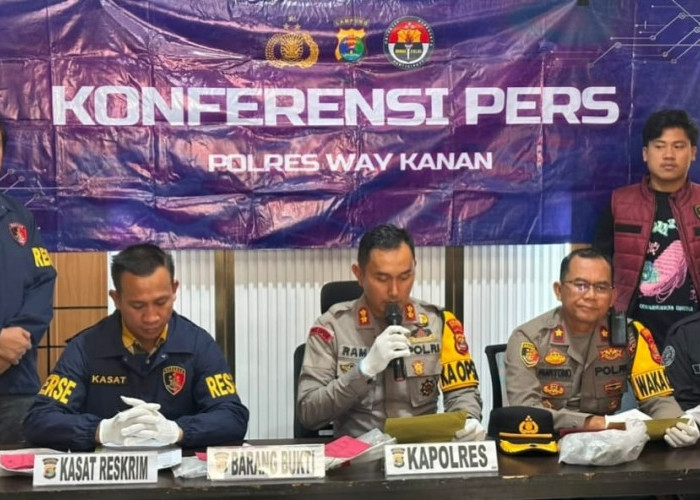 Dipicu Tuduhan Curi Brondolan Sawit, Pria di Way Kanan Ini  Tikam Security PT AKG Hingga Tewas