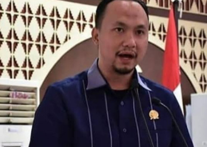 Ini Kata Wakil Bupati Lampung Selatan Soal LHKPN yang Tercatat Tidak Memiliki Kendaraan