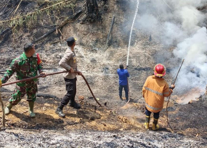 Kapolres Tanggamus Lampung Pimpin Pemadaman Kebakaran Lahan di Pugung, Tanggap Darurat Masih Diberlakukan 