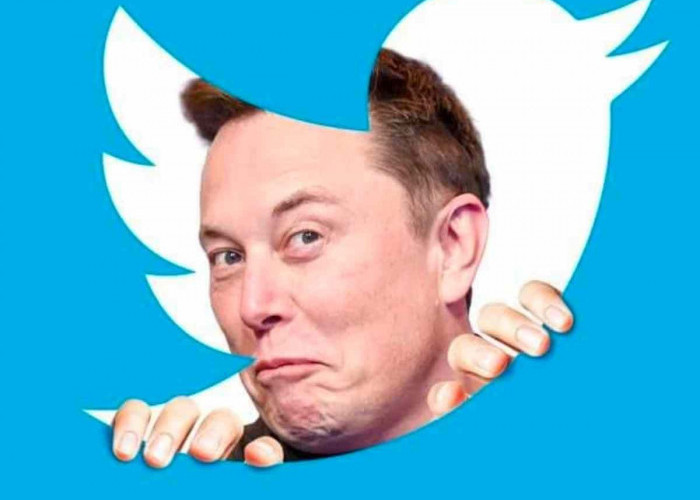 Tentukan Nasib Keinginan Mundur dari CEO Twitter, Elon Musk Bikin Polling
