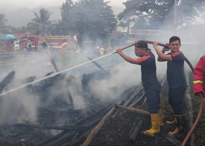 Kebakaran Kapal Bagan di Pesisir Pantai Kota Agung Tanggamus, Korban Rugi Puluhan Juta