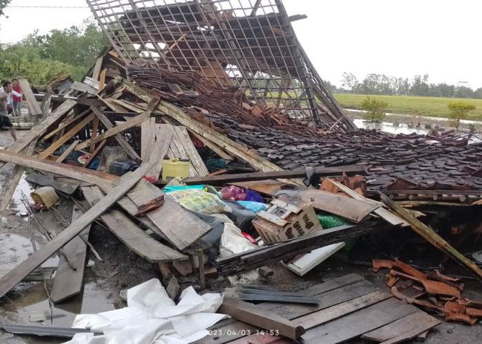 Puluhan Rumah Rusak Akibat Puting Beliung di Rawapitu Tulang Bawang, Warga Harapkan Bantuan Pemerintah
