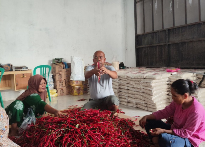 Perkuat Ketahanan Pangan dan Gizi Nasional, BRI Salurkan Pembiayaan Kepada Koperasi Penyuplai Bahan Pangan MBG