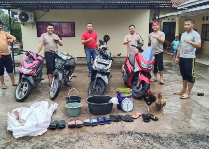 Polsek Batangharinuban Lampung Timur Grebek Judi Sabung Ayam, Ini Barang Buktinya
